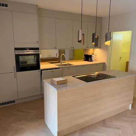 Modern And Centrally Located With 2 Bedrooms And A Garage Space With Ev Charger Lejlighed